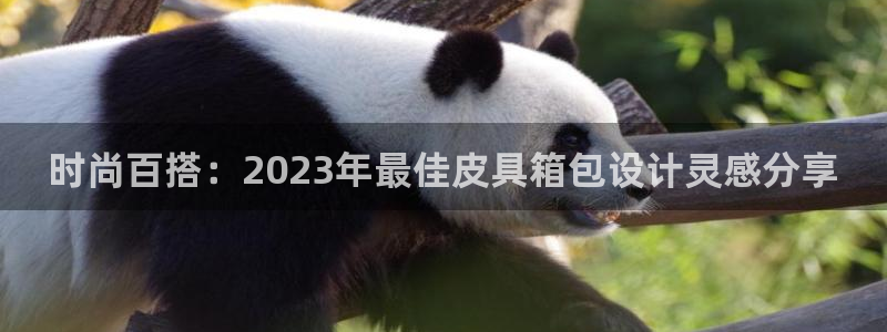 必一运动体育app