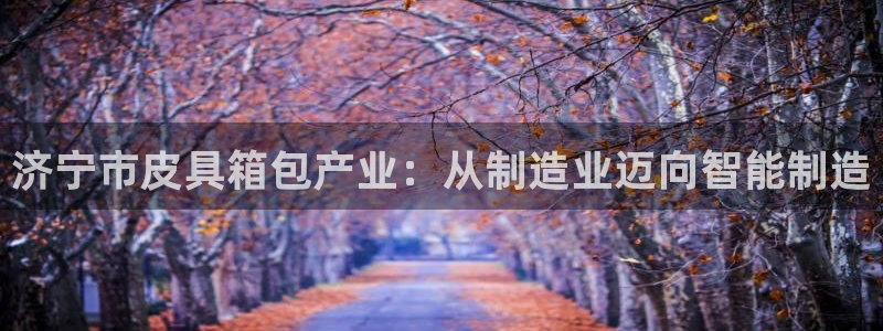 Bsport体育必一
