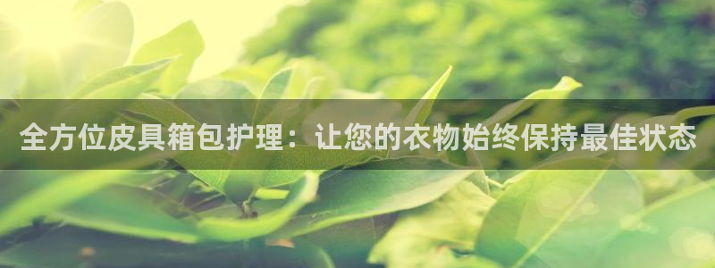 必一体育是啥