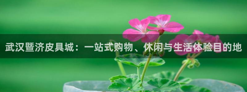 必一运动体育app
