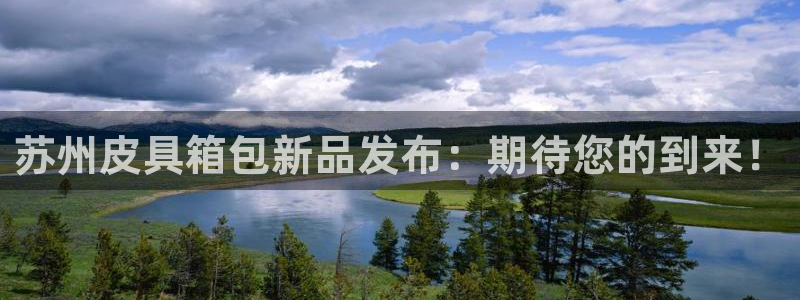 必一体育网页