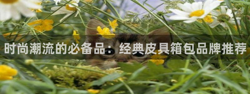 氵必一一厂一