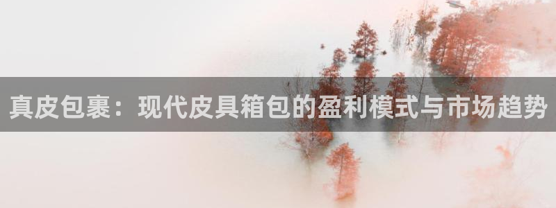 必一体育网站