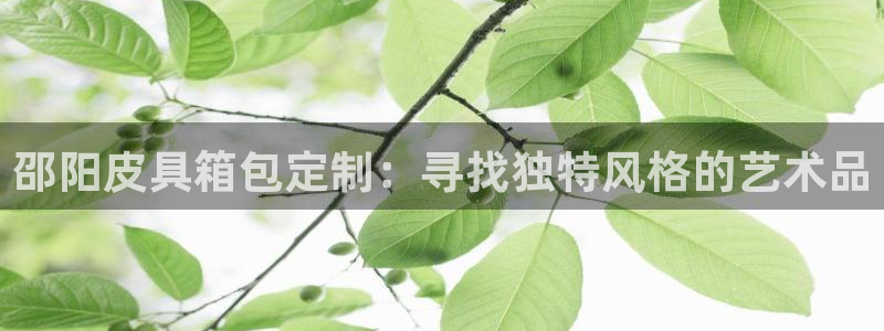 必一体育网站