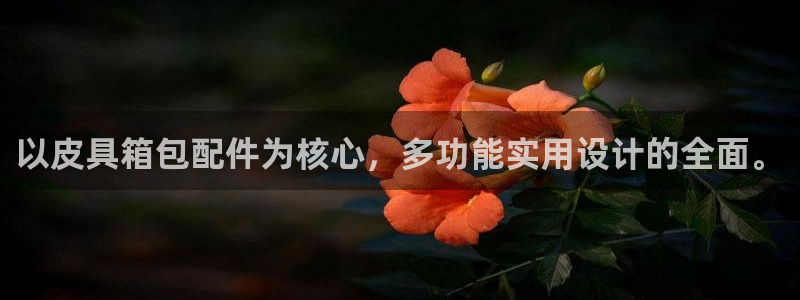 必一体育服下载最新版本更新内容