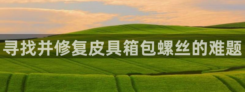 必一运动 b 体育素描版