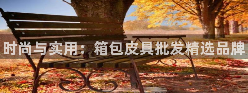 必一体育黑平台