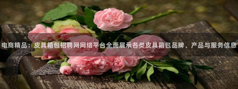 必一体育在线玩