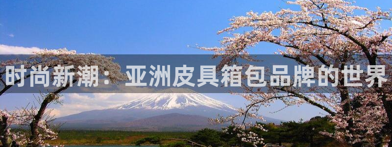 必一体育下载意思