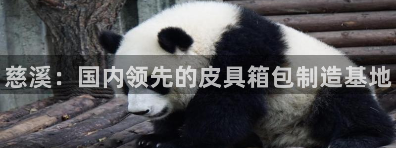 必一体育可靠吗