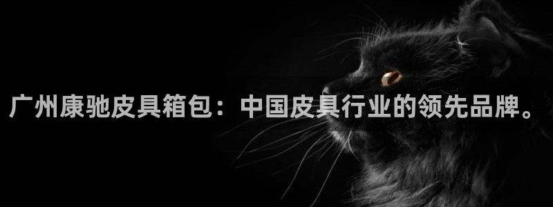 必一体育bsport下载