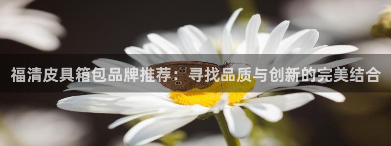 必一体育是啥
