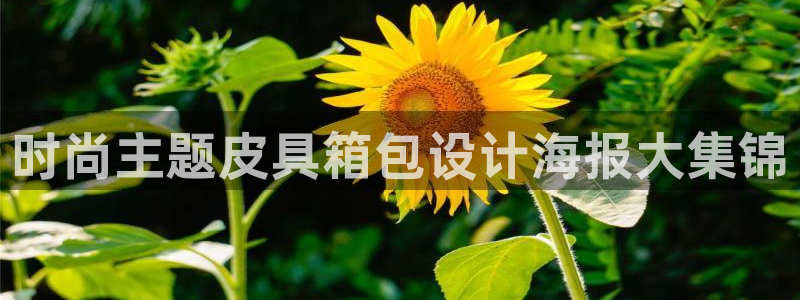 必一体育服下载最新版本更新内容