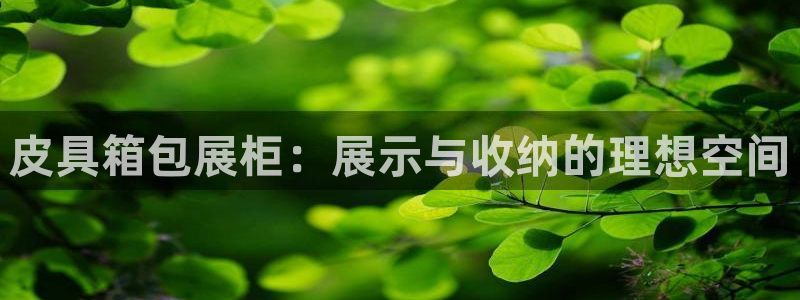必一体育sport网页版