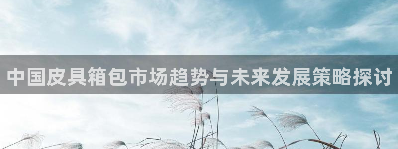 必一体育sport官网