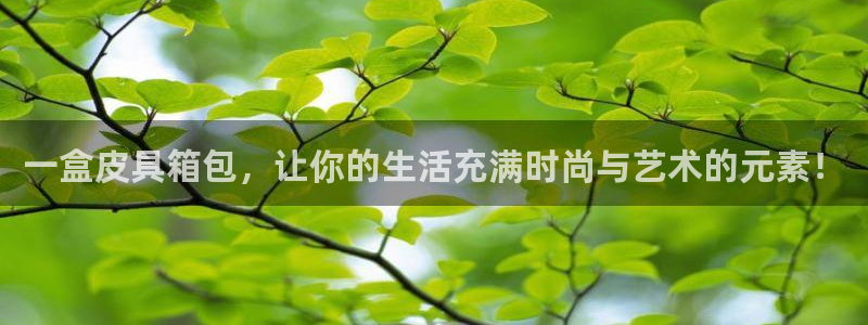 必一体育sport装机吧