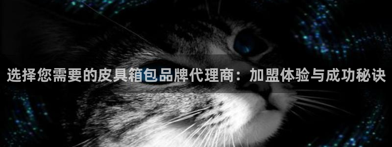 b体育官网下载入口app必一