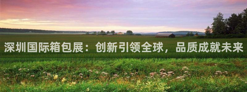 必一体育下载一样吗