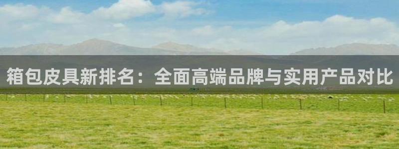 必一体育sport下载