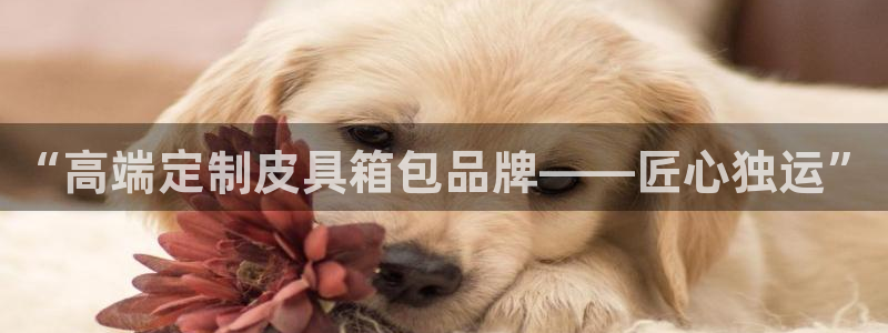 必一体育sportB体育