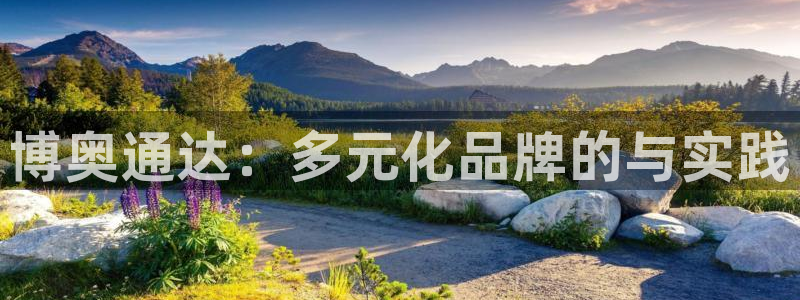 必一体育平台