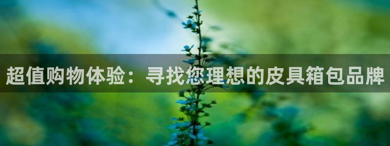 必一体育app下载最新版本苹果