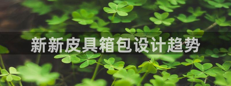 必一运动体育官网下载