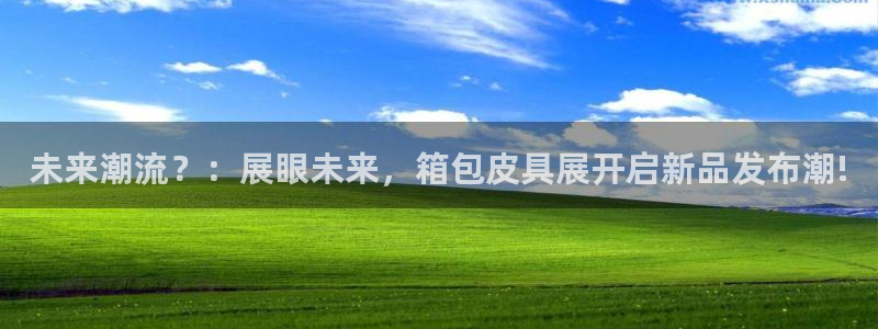 必一体育电子app