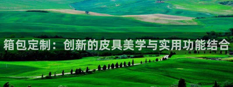 Bsport体育app必一