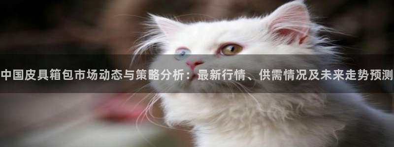 必一体育运动下载