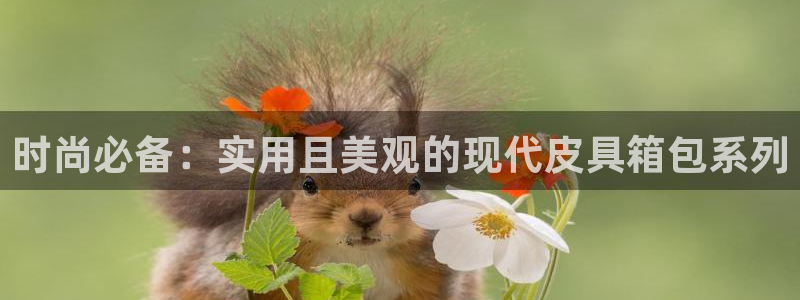 必一体育官方下载入口