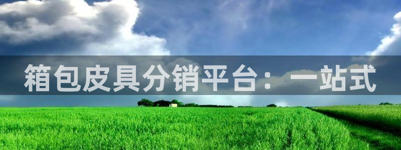 必一体育官方app下载