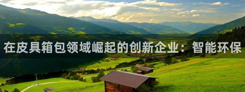 必一体育合法吗