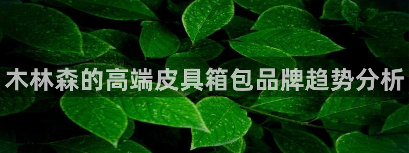 必一运动bsport体育app下载