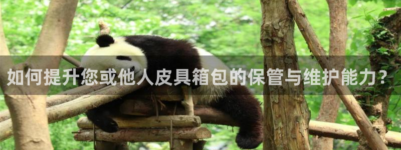 必一体育官方网站入口