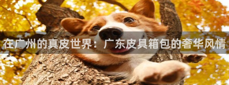 必一体育官网app