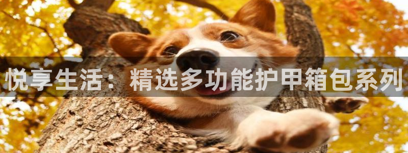 必一体育服下载最新版本更新内容