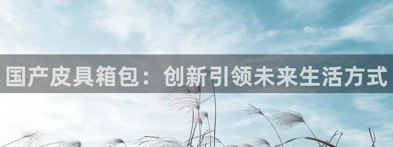 必一体育运动平台官网