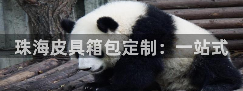 必一体育sport官方网站