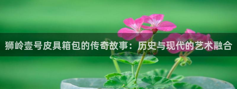 必一体育官方下载入口