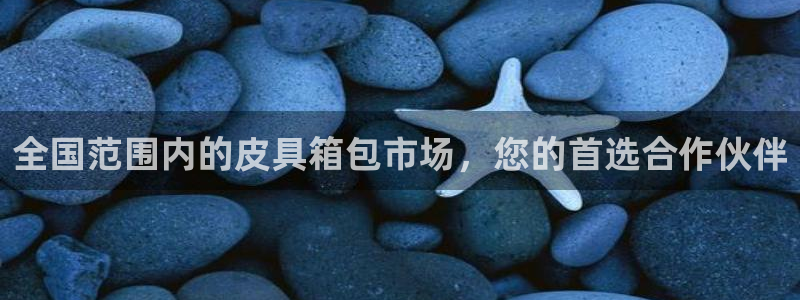 b体育必一运动网页版在线登录入口