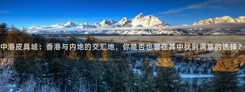 必一体育登录入口APP