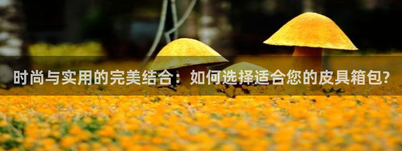 必一体育下载秀给网