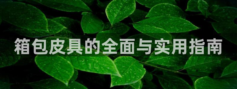 必一体育下载义