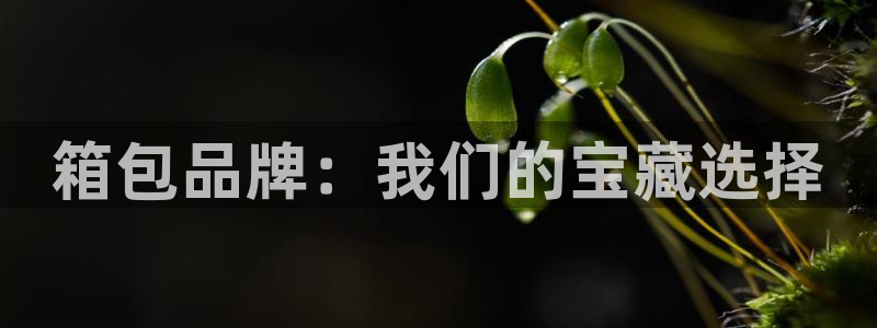 必一体育网页登录版官网