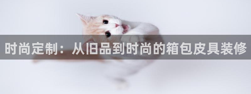 必一体育网页版登录