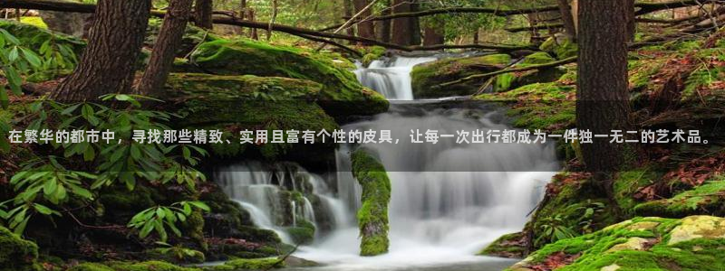 必一体育官网入口