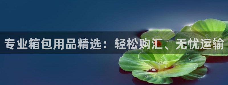 必一运动sport网页版