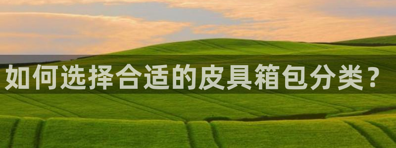 Bsport体育app必一