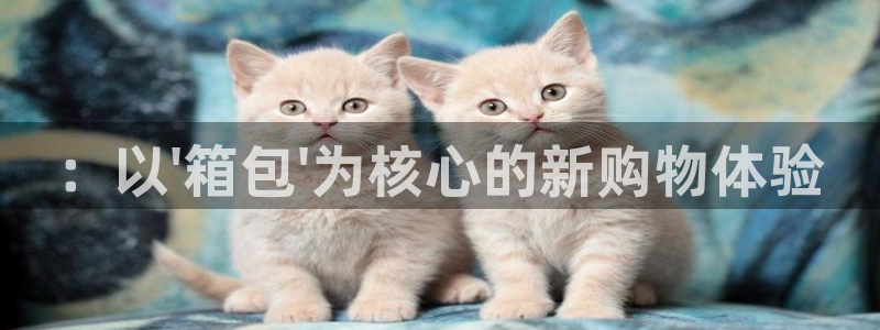 必一体育app官方下载